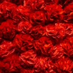 a bunch of red flowers that are on display